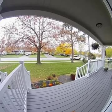 Wow, Squirrels, sneaky little things