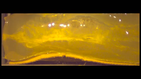 12 gauge Federal FLITECONTROL #1 buckshot (LE132 1B)