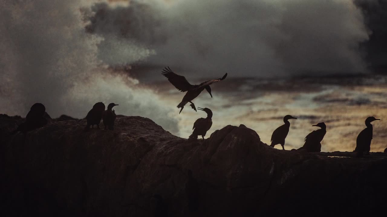 Crushing on Shore by Benjamin Farren | 4K Screensaver