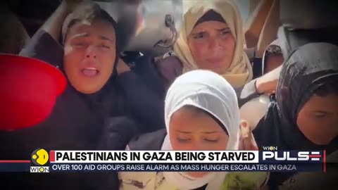 Gaza__Starvation_In_The_Region_Escalates,_Hunger___Malnutrition_Killing_Children___WION