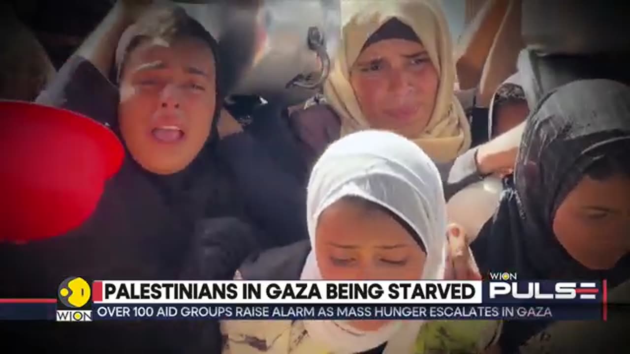 Gaza__Starvation_In_The_Region_Escalates,_Hunger___Malnutrition_Killing_Children___WION