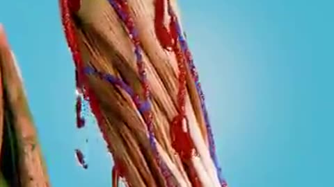 What Happenes If You Lose All Your Skin