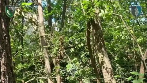 🔫💥 Ukraine Russia War | Ukrainian Special Ops Take Out Russian Troops in Forest Raid | RCF