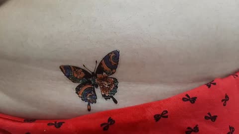 bueaty butterfly tattoo stickers#temporarytattoo #temporarytattoos #temporarytattosticker