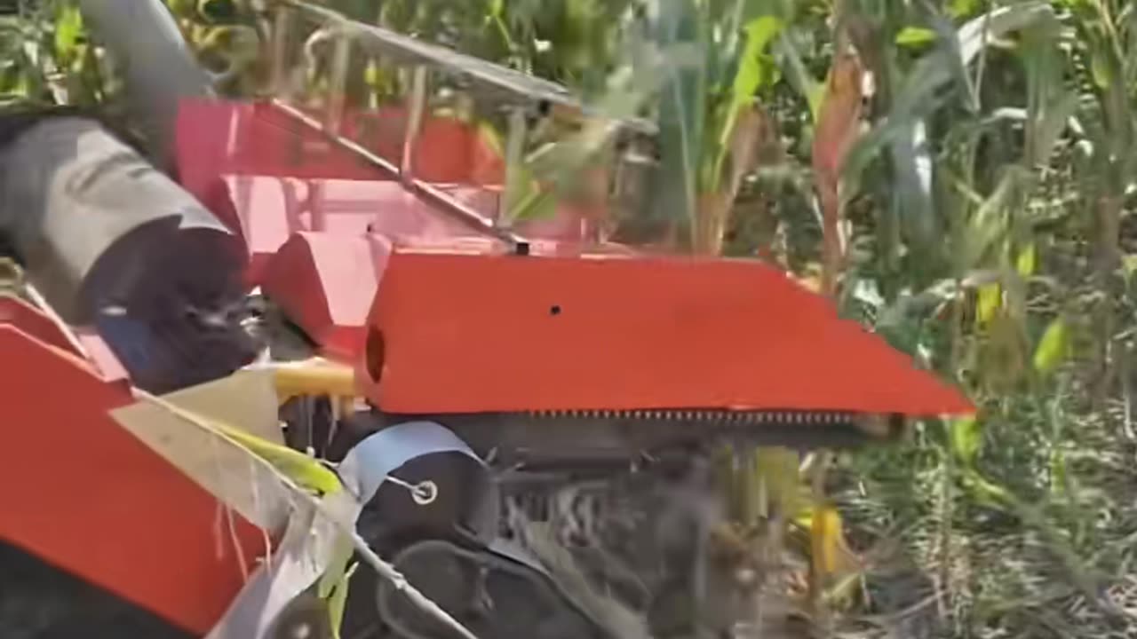 ✨🤯 Watch This Machine in Action! #ForYou