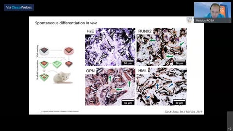 Graphene for Biomaterials and Craniofacial Tissue Engineering
