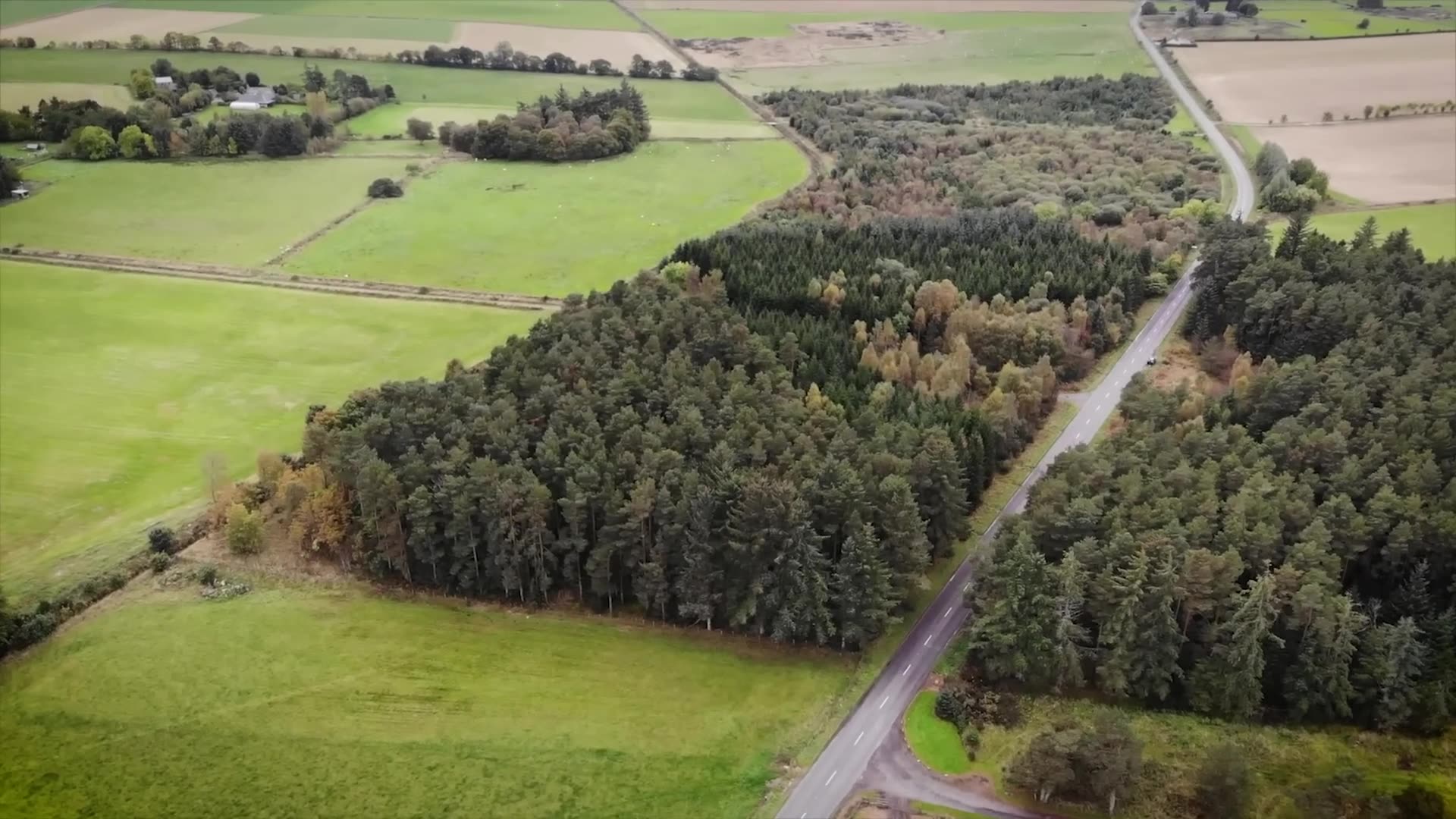 ALIEN WAR and The Horrors of Dulce Underground Base