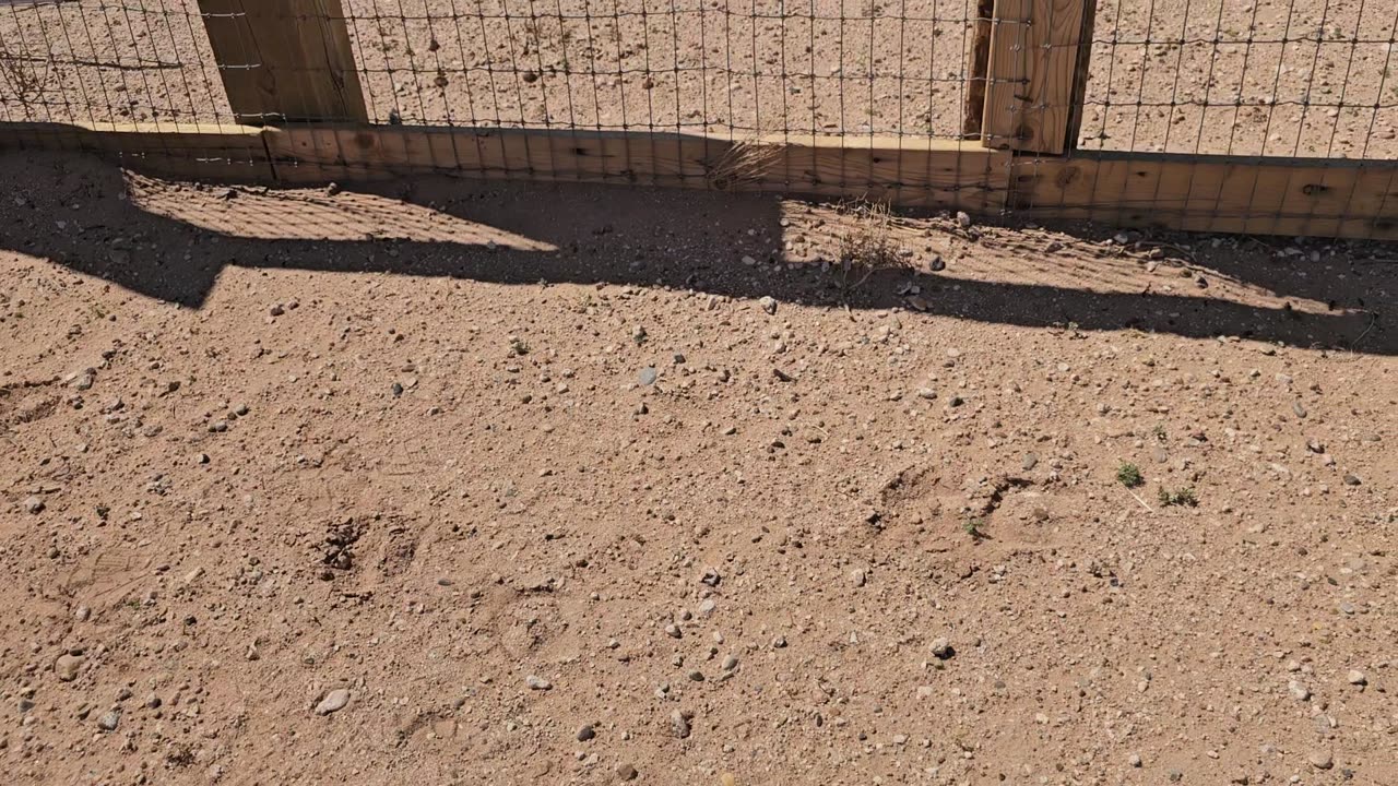 Home protection dog training? I have what you REALLY need!