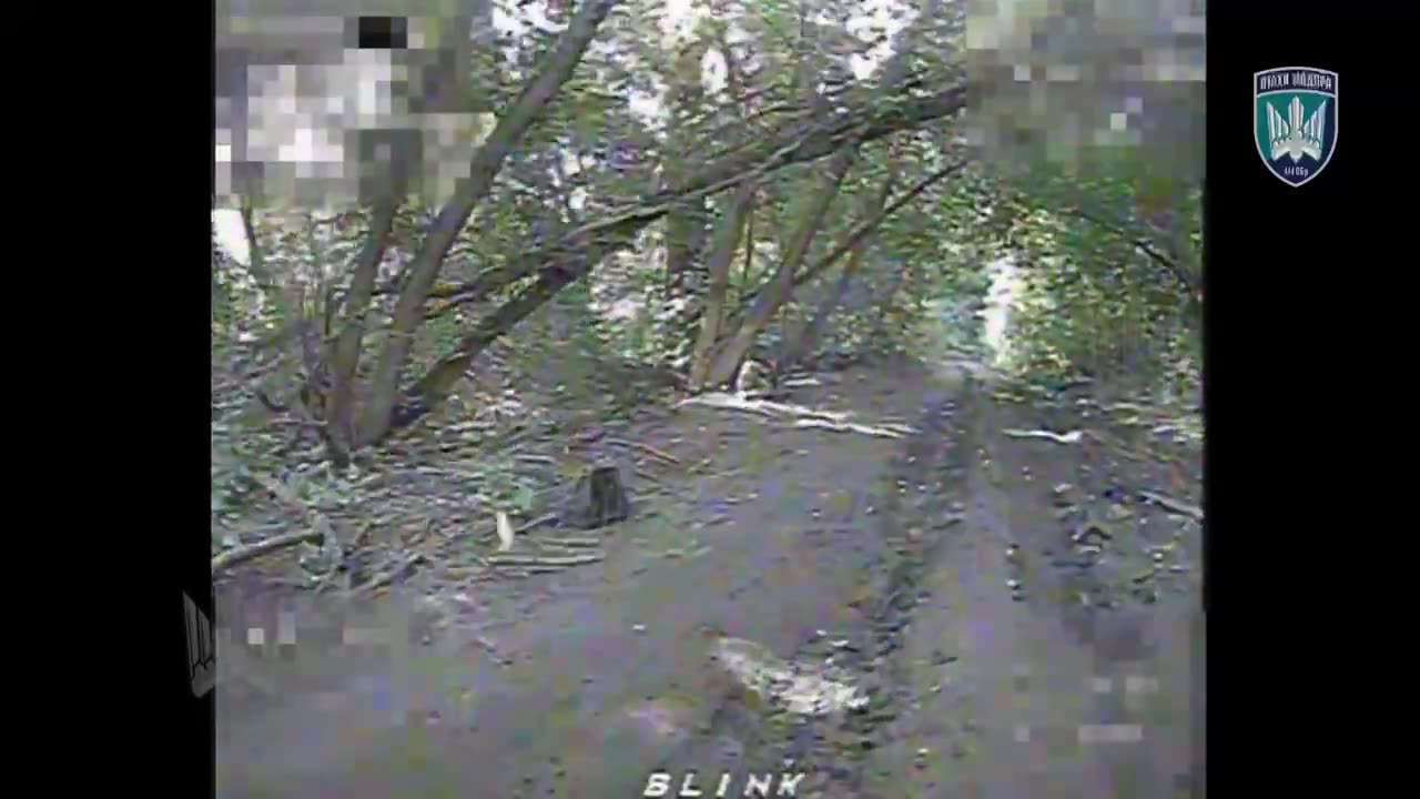 Ukrainian Drone Tracks Down Russian Soldier Hiding in the Trees