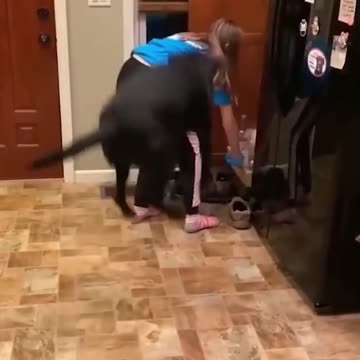 Epic Non-Fails Compilation 🔥 Top Videos You Have to See to Believe 💯