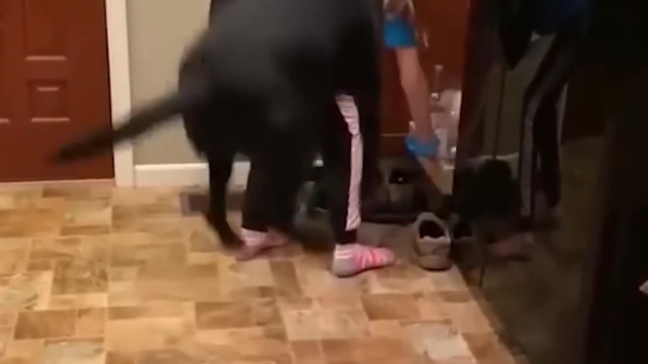 Epic Non-Fails Compilation 🔥 Top Videos You Have to See to Believe 💯