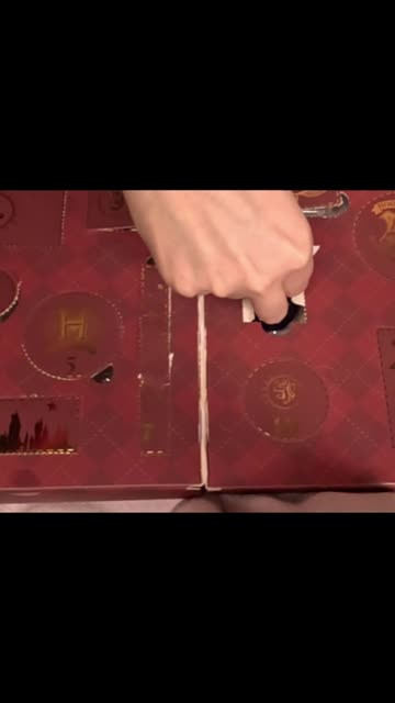 2025 Profusion Cosmetics Harry Potter count down calendar door #9