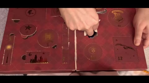 2025 Profusion Cosmetics Harry Potter count down calendar door #9