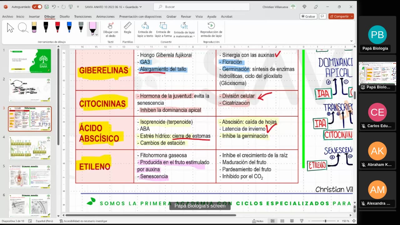 SAVIA SEMIANUAL 2024 | Semana 10 | Anatomía
