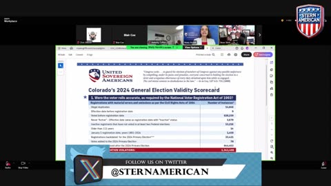 Stern Show Election Integrity Livestream