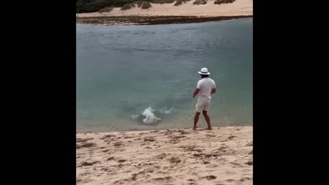 Funny ANIMALS videos 😂 | Funniest Cats and Dogs 2025 🐶😼