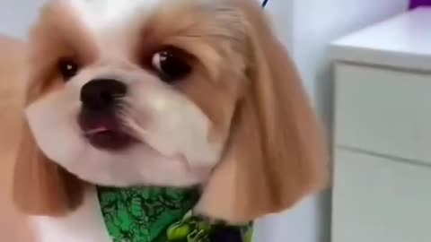 Beautiful