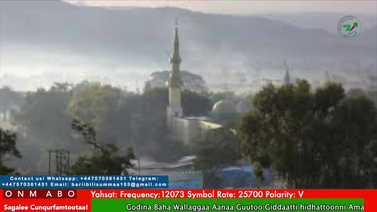 Oduu Waaree ONM-ABO Waxaabajjii 13-2025 itti dhiyaadhaa!