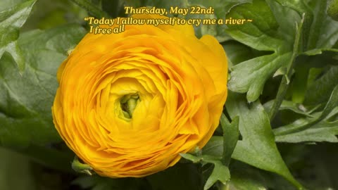 Cry Me a River ~ Thursday, May 22, 2025 ~ Numerology @ a Glance!