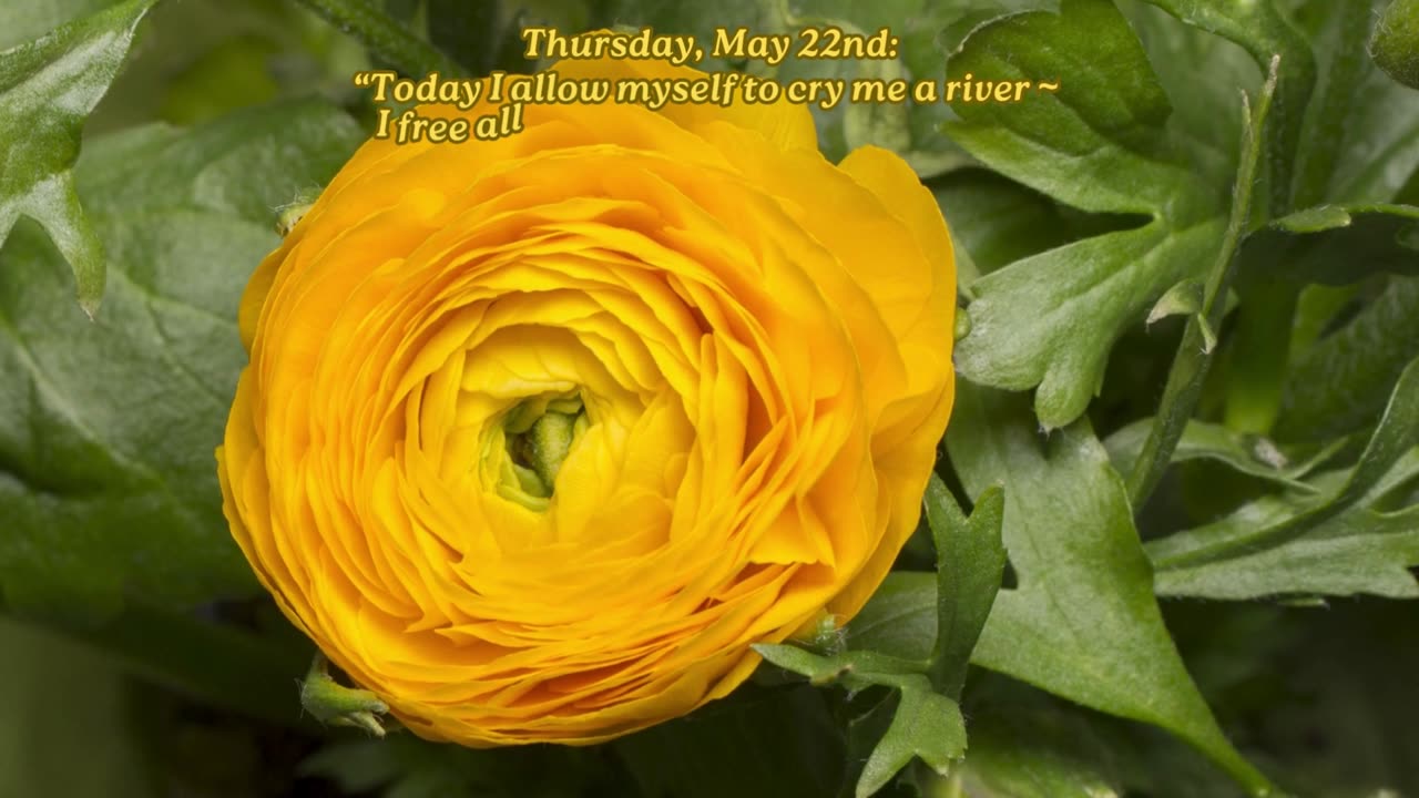 Cry Me a River ~ Thursday, May 22, 2025 ~ Numerology @ a Glance!