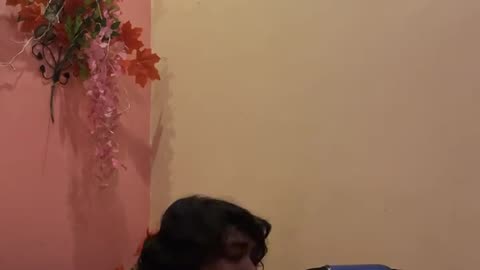 Premalu song (Bangla version)