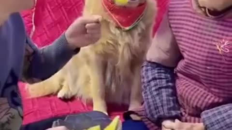 😂👵 Grandma Eats First! | FunFM