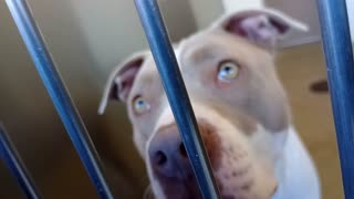 VID_20251126_152355845