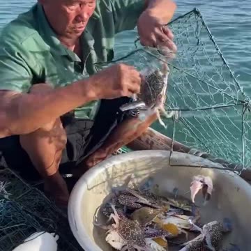 Awesome Crab Trap Technique for Giant Blue Crabs on the Sea