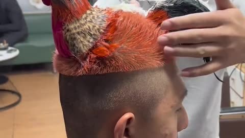 Chicken hairstyle is the latest trend.hd