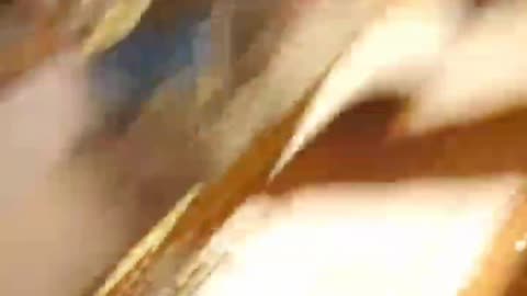 CHILLIBEERS 🌶️ 🌶️ 🌶️ 🍺 🍺 🍺 NEWARK BREWERY