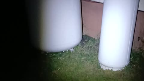 MY 2 PROPANE TANKS