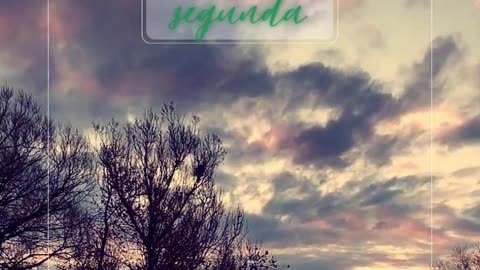 Loja Tática