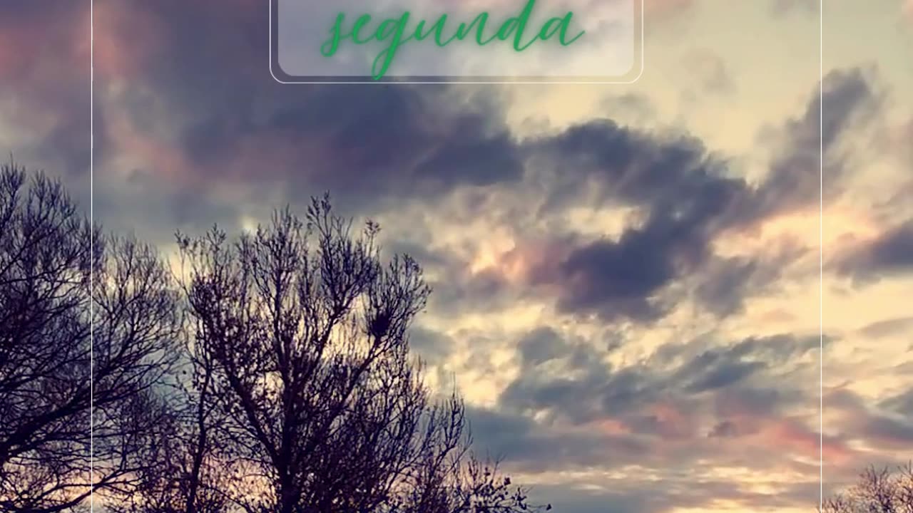 Loja Tática