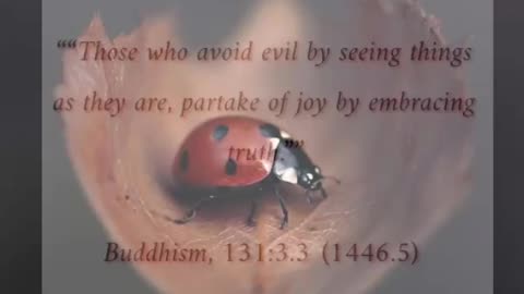 Seeing Things as They Are