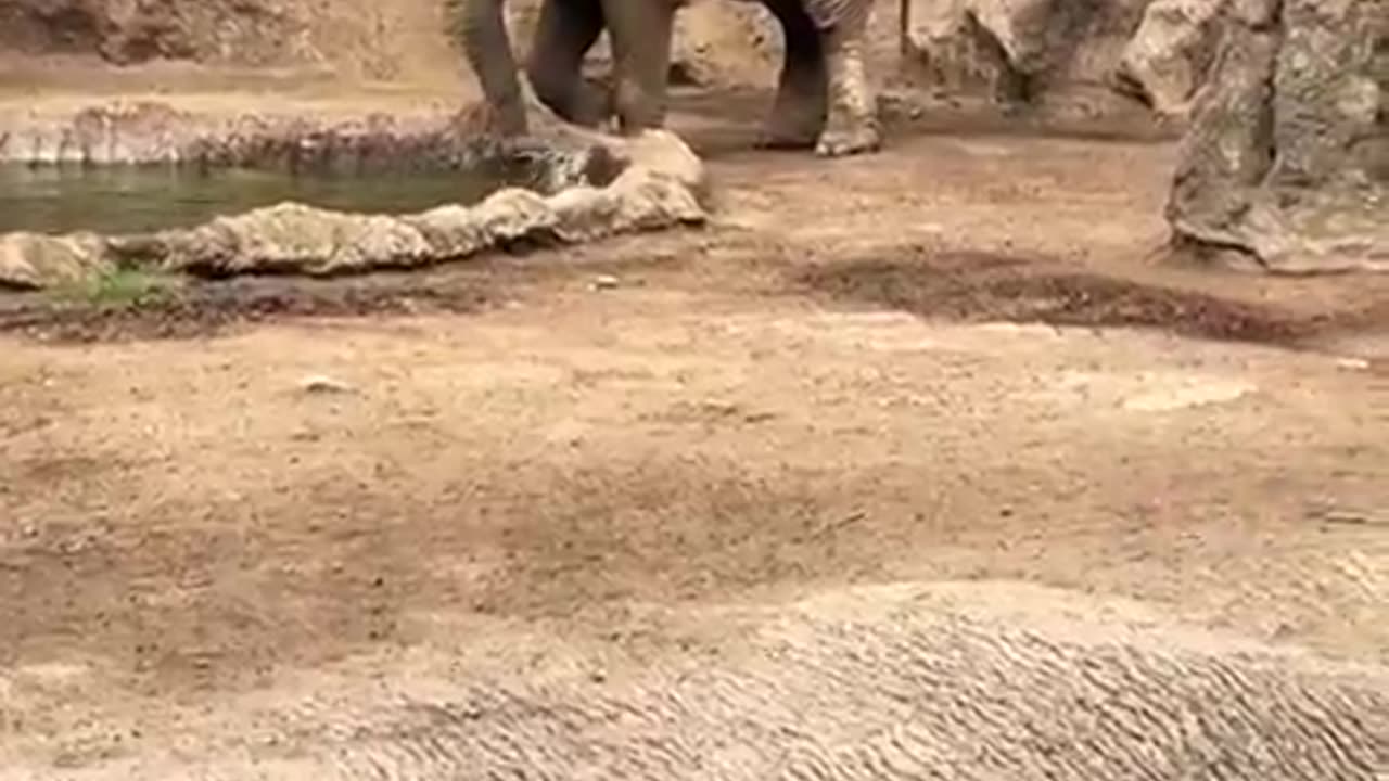 Saving A Fren