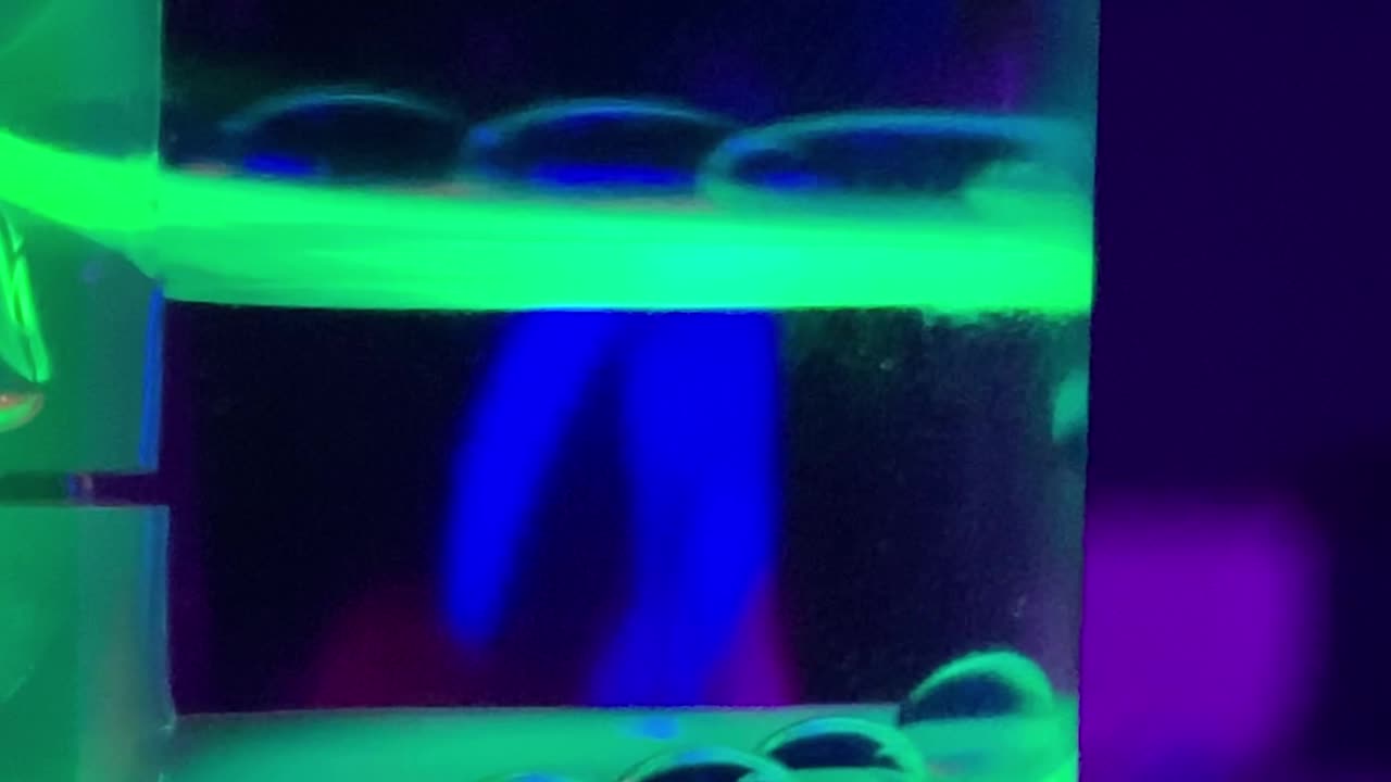 Frutiger aqua on rumble?