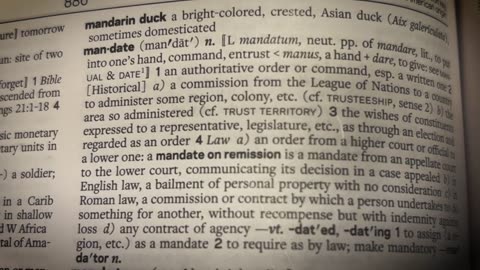 Etymology