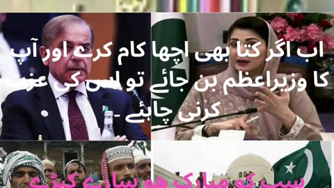 اب اگر کتا بھی اچھا کام کرے اور آپ کا وزیراعظم بن جائے تو اس کی عزت کرنی چاہئے ۔ مو نیرا۔