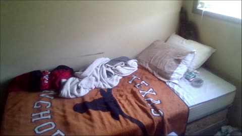 Smokeys Room