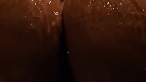 Water, a shower and i nice ass made this video