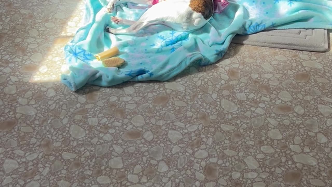 Princesses Favorite Spot