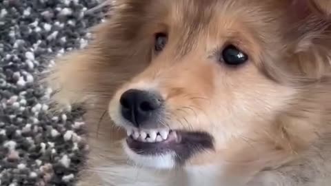 That look 🥲