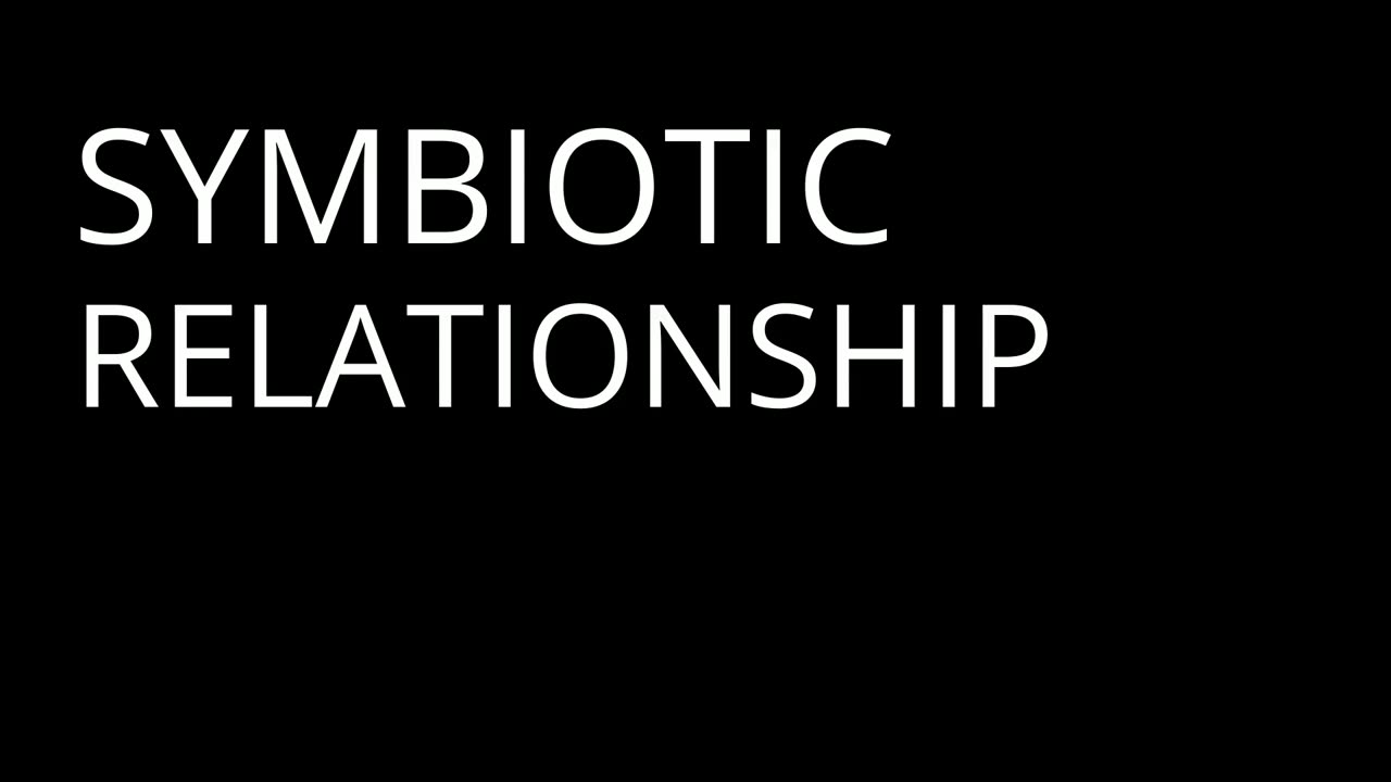 The Silent Suffering of Migrants | Orwell - Part 3