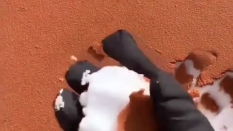 🍰🤯 You Won't Believe What Happens Next! | FunFM