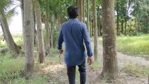 Just walking through the forest♥️❤️♥️❤️