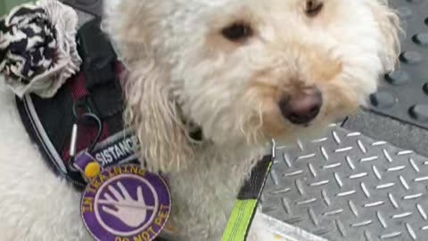 Walking on bridge, ascend descend open tread stairs