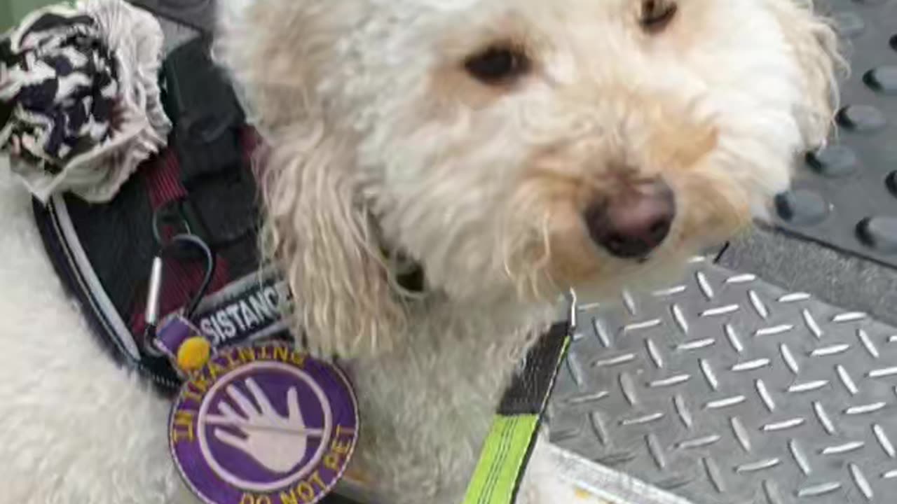 Walking on bridge, ascend descend open tread stairs