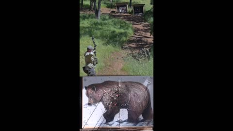 Eldorado Hills Bowman Brown Bear Target