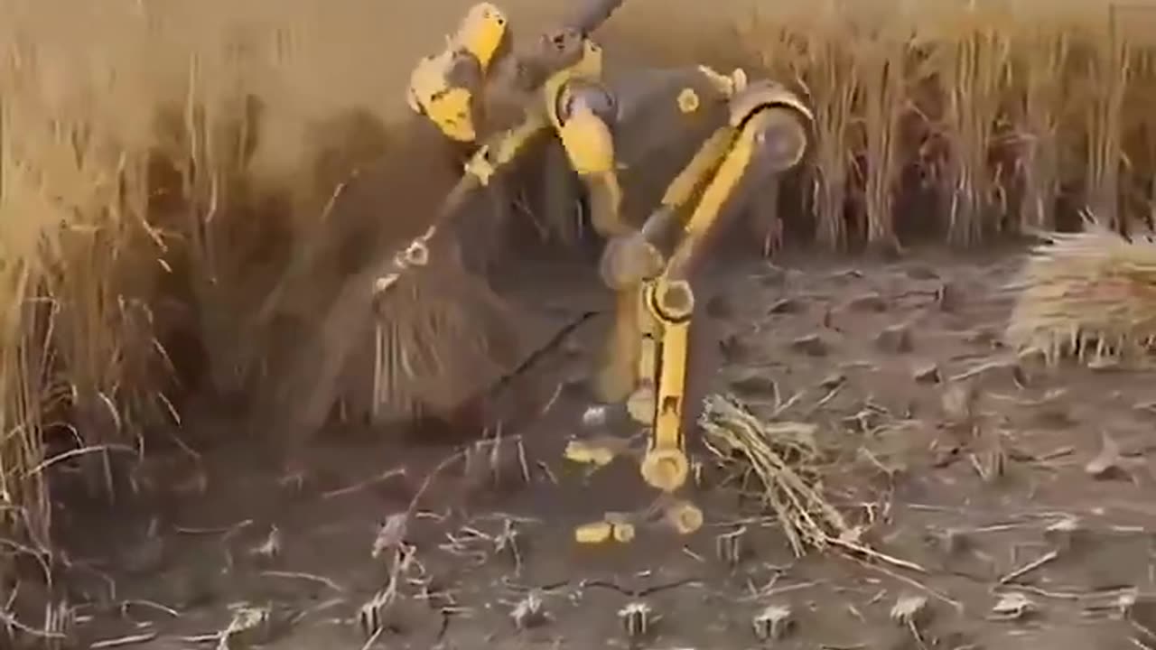 How close are we to this?