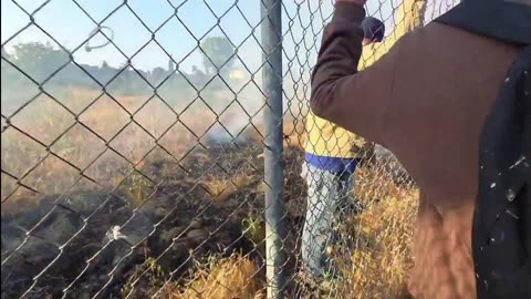 Rioters Attack ICE Immigration Officers In LA